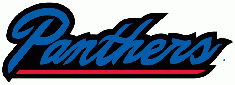 Georgia State Panthers 2010-Pres Wordmark Logo v4 DIY iron on transfer (heat transfer)